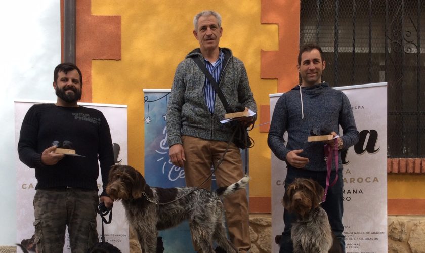 Ganadores II Concurso Perros Truferos Campo de Daroca