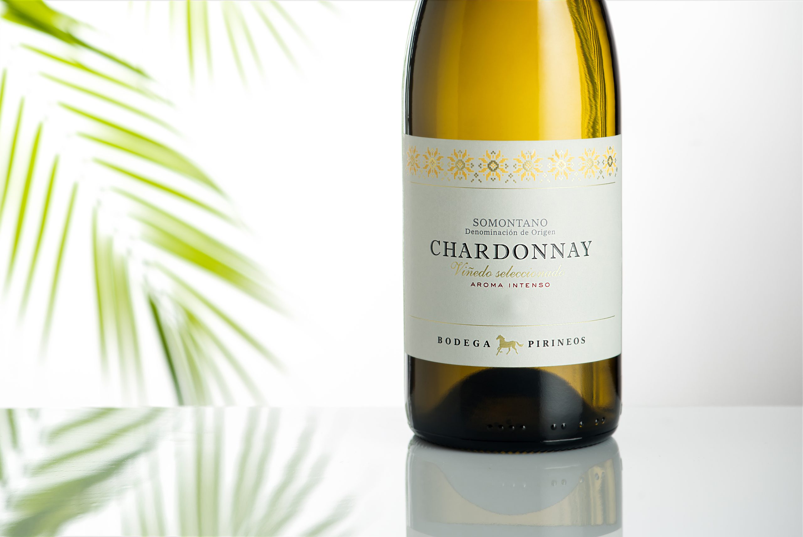 Pirineos Chardonnay 7
