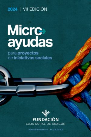 MicroAyudas24_web