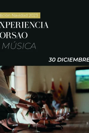 Experiencia-Borsao-y-musica-20h