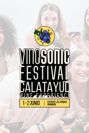 VinoSonic_Festival_DOCALATAYUD_Portada